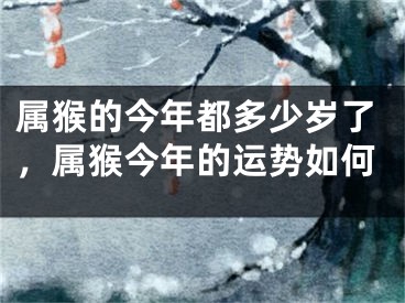 属猴的今年都多少岁了,属猴今年的运势如何