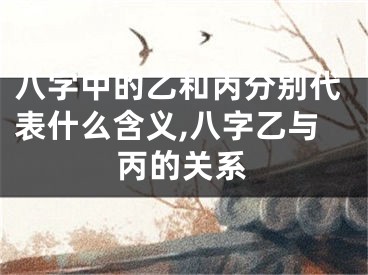 八字中的乙和丙分别代表什么含义,八字乙与丙的关系