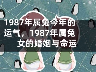 1987年属兔今年的运气，1987年属兔女的婚姻与命运