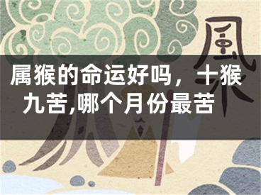 属猴的命运好吗,十猴九苦,哪个月份最苦