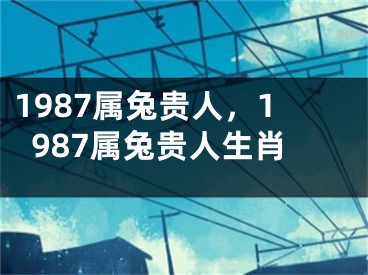 1987属兔贵人，1987属兔贵人生肖