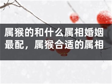 属猴的和什么属相婚姻最配,属猴合适的属相