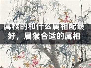 属猴的和什么属相配最好,属猴合适的属相