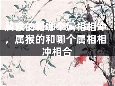 属猴的和哪个属相相冲,属猴的和哪个属相相冲相合