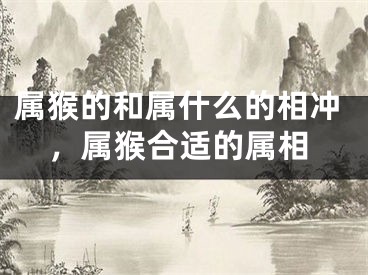 属猴的和属什么的相冲,属猴合适的属相