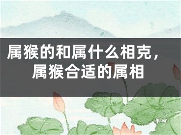 属猴的和属什么相克,属猴合适的属相