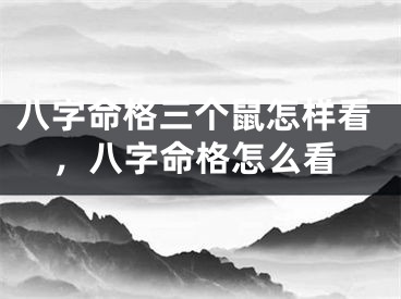 八字命格三个鼠怎样看,八字命格怎么看
