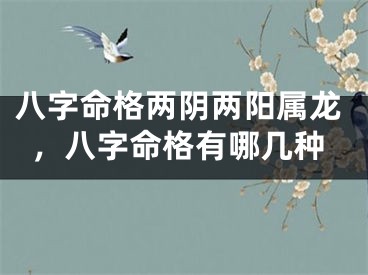 八字命格两阴两阳属龙，八字命格有哪几种