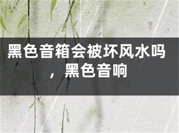 黑色音箱会被坏风水吗，黑色音响