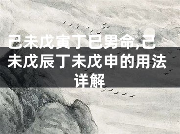 己未戊寅丁巳男命,己未戊辰丁未戊申的用法详解