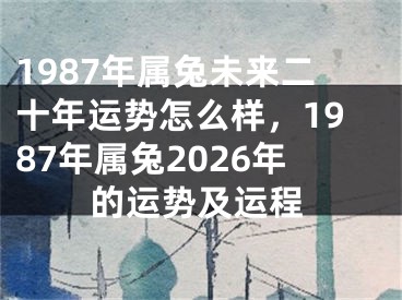1987年属兔未来二十年运势怎么样，1987年属兔2026年的运势及运程