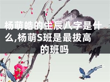 杨萌皓的生辰八字是什么,杨萌S班是最拔高的班吗