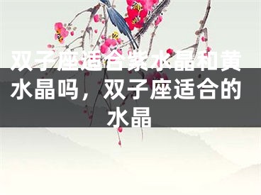 双子座适合紫水晶和黄水晶吗，双子座适合的水晶