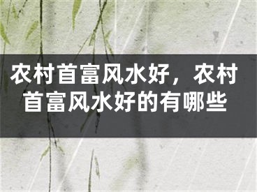 农村首富风水好，农村首富风水好的有哪些