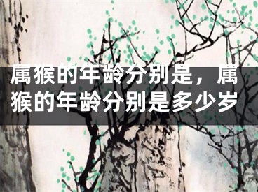 属猴的年龄分别是,属猴的年龄分别是多少岁