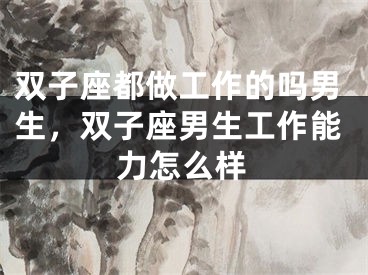 双子座都做工作的吗男生，双子座男生工作能力怎么样
