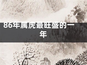 86年属虎最旺盛的一年