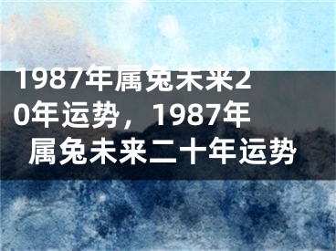 1987年属兔未来20年运势,1987年属兔未来二十年运势