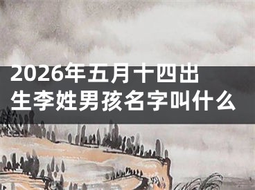 2026年五月十四出生李姓男孩名字叫什么