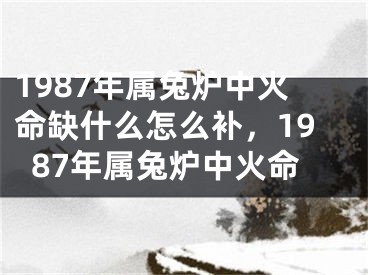 1987年属兔炉中火命缺什么怎么补，1987年属兔炉中火命