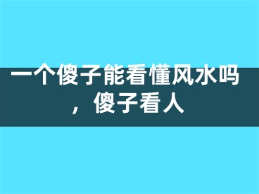 一个傻子能看懂风水吗,傻子看人
