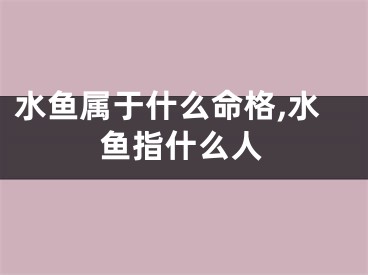 水鱼属于什么命格,水鱼指什么人