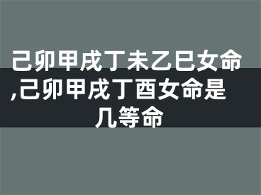 己卯甲戌丁未乙巳女命,己卯甲戌丁酉女命是几等命