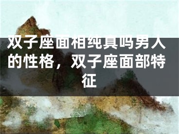 双子座面相纯真吗男人的性格，双子座面部特征