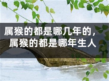 属猴的都是哪几年的,属猴的都是哪年生人