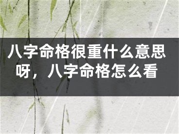 八字命格很重什么意思呀,八字命格怎么看