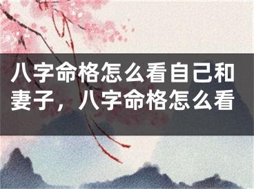 八字命格怎么看自己和妻子,八字命格怎么看