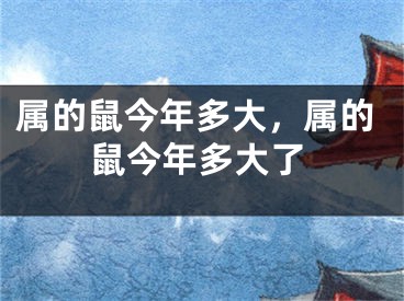 属的鼠今年多大,属的鼠今年多大了
