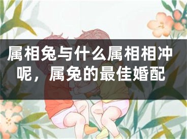 属相兔与什么属相相冲呢，属兔的最佳婚配