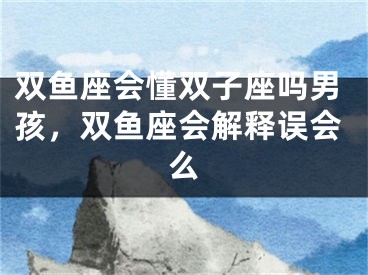 双鱼座会懂双子座吗男孩，双鱼座会解释误会么