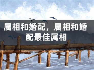 属相和婚配,属相和婚配最佳属相