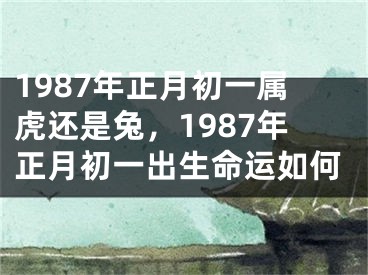 1987年正月初一属虎还是兔，1987年正月初一出生命运如何