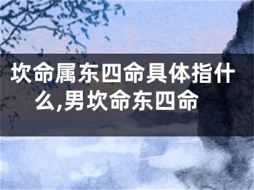 坎命属东四命具体指什么,男坎命东四命
