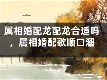 属相婚配龙配龙合适吗,属相婚配歌顺口溜