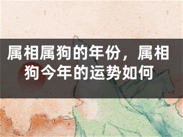 属相属狗的年份,属相狗今年的运势如何