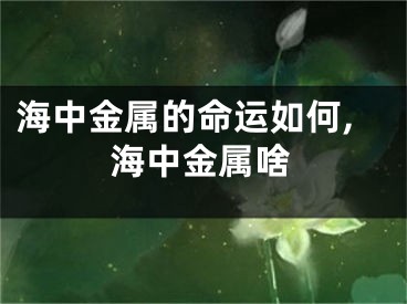 海中金属的命运如何,海中金属啥