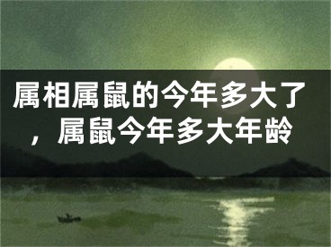 属相属鼠的今年多大了,属鼠今年多大年龄