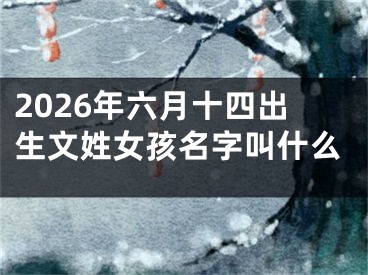 2026年六月十四出生文姓女孩名字叫什么