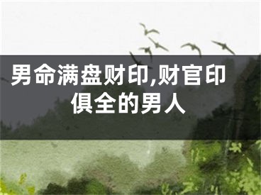 男命满盘财印,财官印俱全的男人