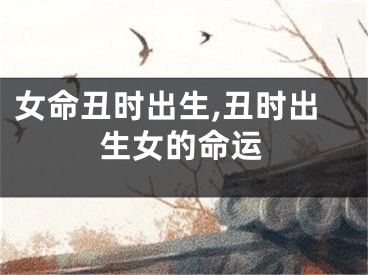 女命丑时出生,丑时出生女的命运