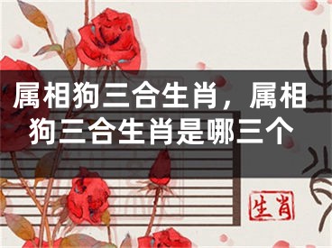属相狗三合生肖，属相狗三合生肖是哪三个
