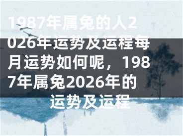 1987年属兔的人2026年运势及运程每月运势如何呢,1987年属兔2026年的运势及运程