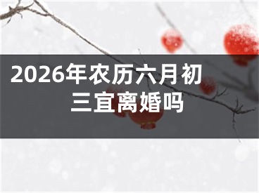2026年农历六月初三宜离婚吗