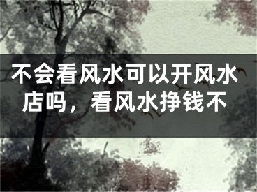 不会看风水可以开风水店吗，看风水挣钱不
