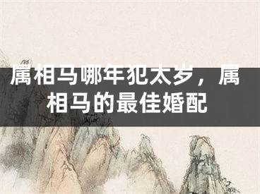属相马哪年犯太岁,属相马的最佳婚配