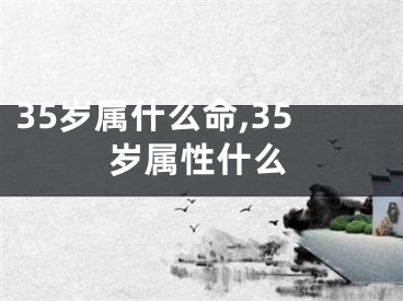 35岁属什么命,35岁属性什么